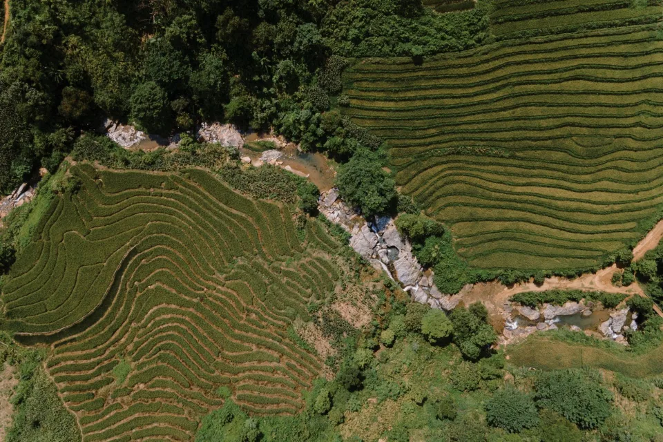 Kho gạo của Nguyễn Thị Miễn